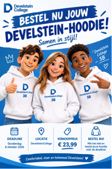 Develsteinhoodie